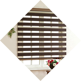 zebra-blinds
